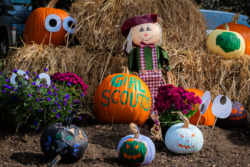 Sleepy Hollow, NY - Oct 2025